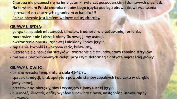 grafika choroba niebieskich języków